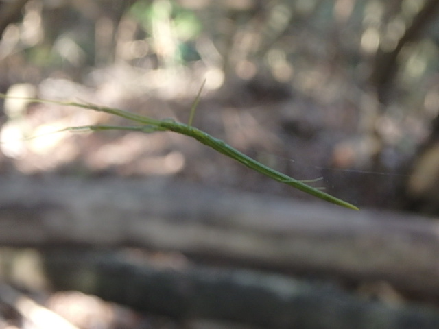 f0334143_9943.jpg