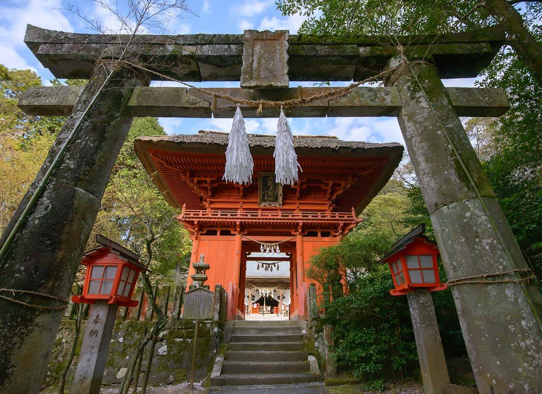 鳥 回想㉖）雁回山の彩り＝熊本市南区富合町木原_d0238245_11000731.jpg