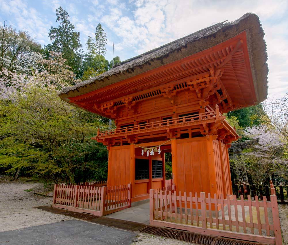 鳥 回想㉖）雁回山の彩り＝熊本市南区富合町木原_d0238245_16105726.jpg