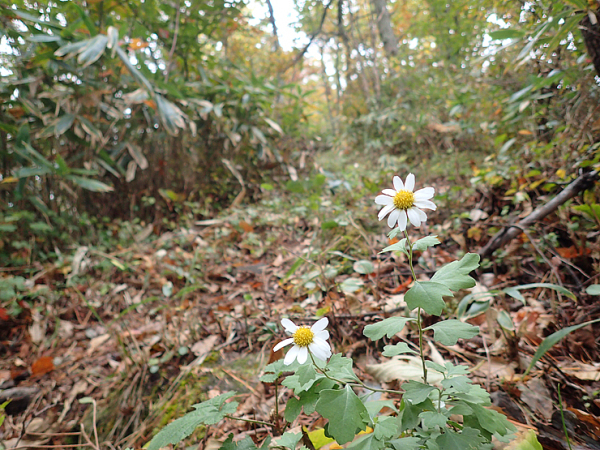 f0214649_03163200.jpg