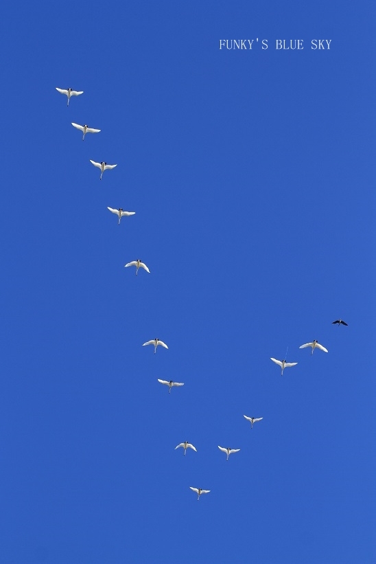 c0145250_09543122.jpg