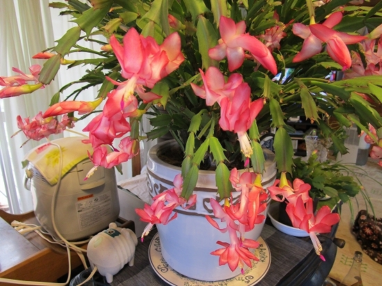 c0327752_10241477.jpg