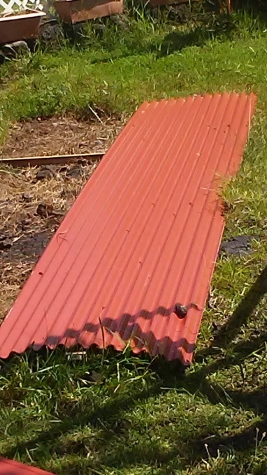 b0126453_02254591.jpg