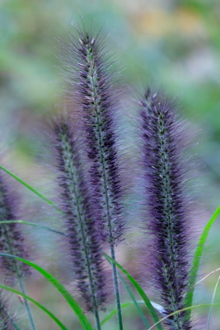 a0248459_14440043.jpg