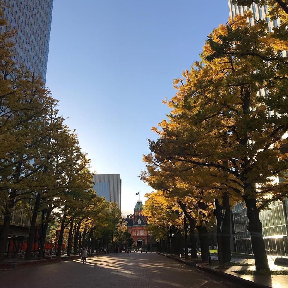 c0115560_11140348.jpg