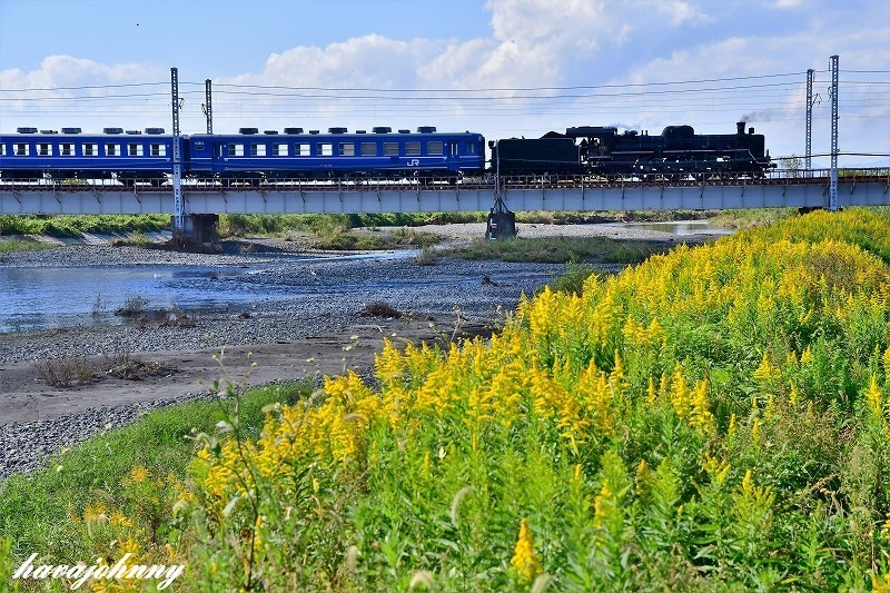 c0173762_20000291.jpg