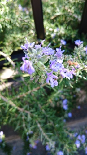 f0256164_15140064.jpg