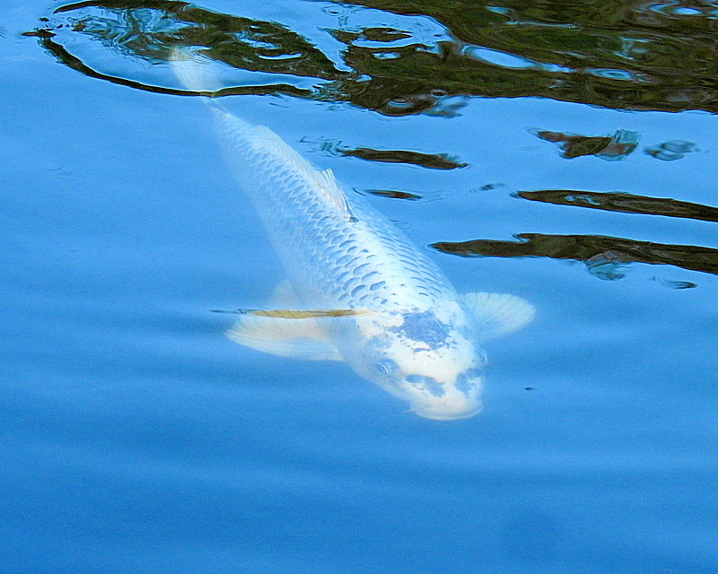 c0305565_17414787.jpg