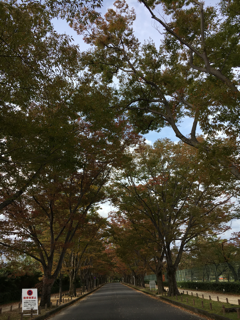 f0363168_06314223.png