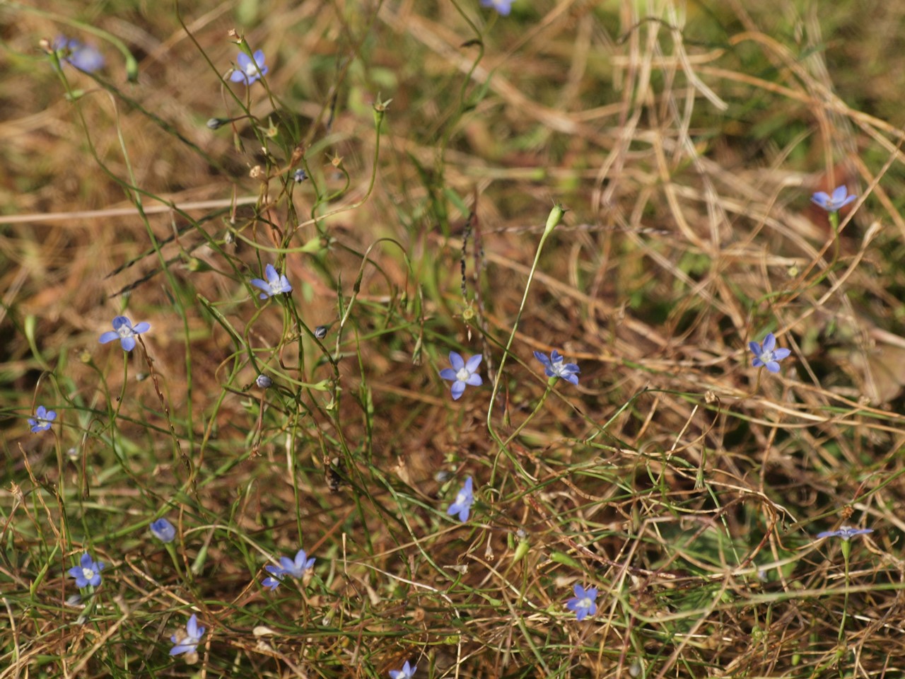 d0054276_20292061.jpg