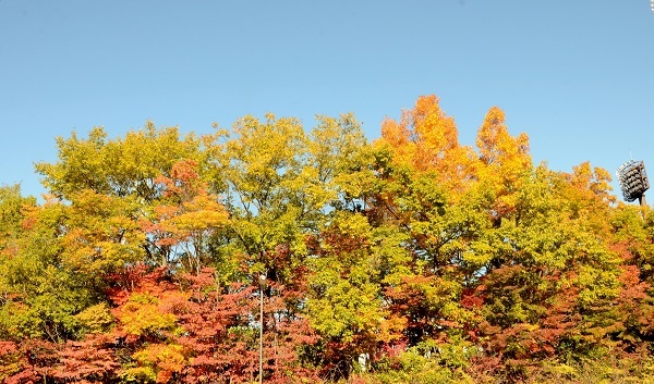 a0158478_14542637.jpg