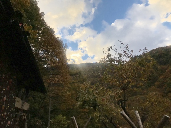 e0024081_17005088.jpeg