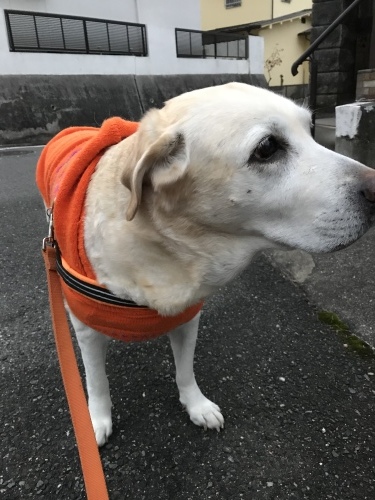 f0315081_21380571.jpeg