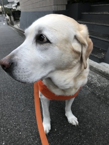 f0315081_21393505.jpeg