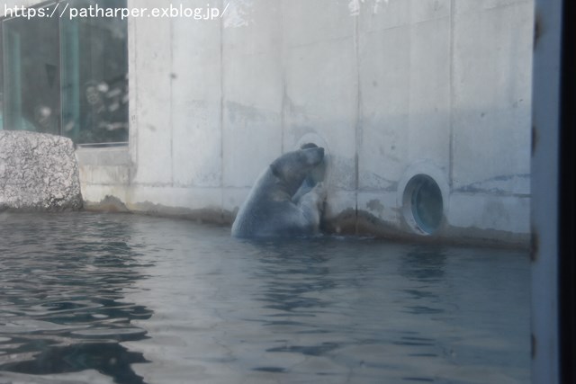 2018年10月 とくしま動物園 その1_a0052986_7503012.jpg