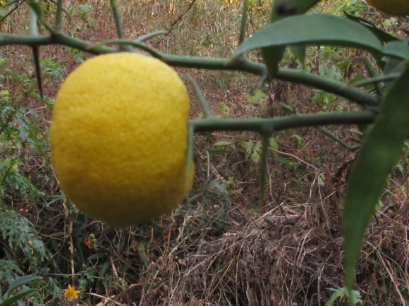 b0203588_13041255.jpg
