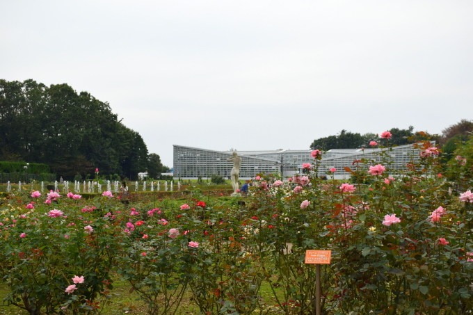 d0099791_12012427.jpg