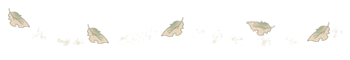 e0037391_17145611.png