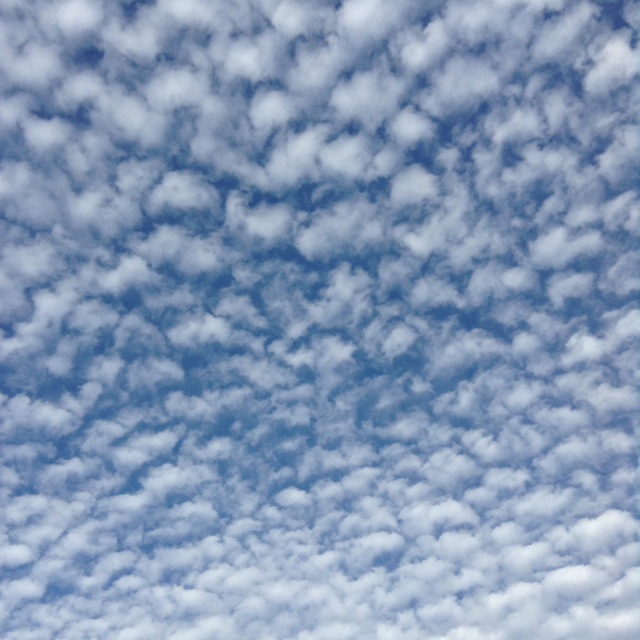 いわし雲 うろこ雲 ひつじ雲 線路マニアでアコースティックなギタリスト竹内いちろ 三重 四日市 いわし雲 うろこ雲 ひつじ雲 線路マニアでアコースティックなギタリスト竹内いちろ 三重 四日市