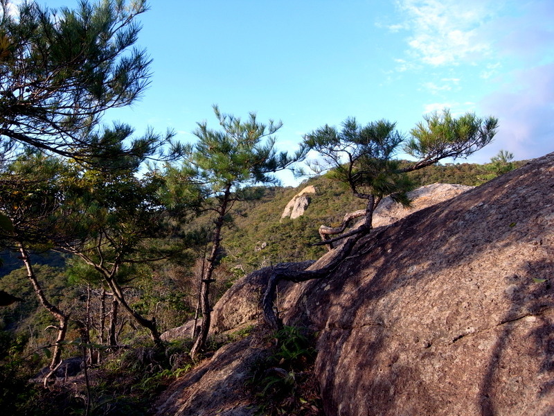 f0325295_12423512.jpg