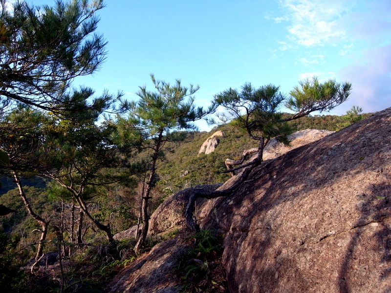 観音寺山のあの岩に行きたい！の巻_f0325295_12423512.jpg