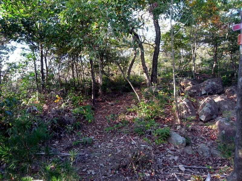 f0325295_13020559.jpg
