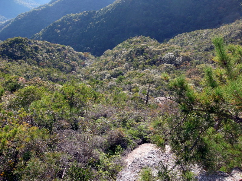 観音寺山のあの岩に行きたい！の巻_f0325295_13022643.jpg