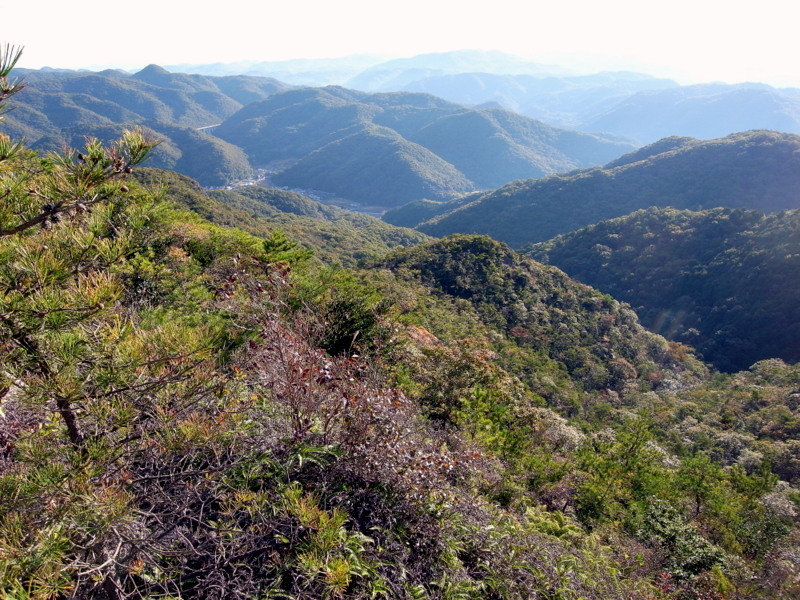 観音寺山のあの岩に行きたい！の巻_f0325295_13022948.jpg