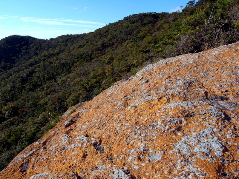 f0325295_13374704.jpg