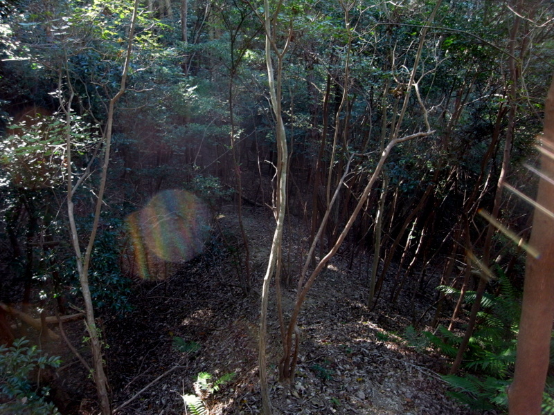 観音寺山のあの岩に行きたい！の巻_f0325295_14245510.jpg