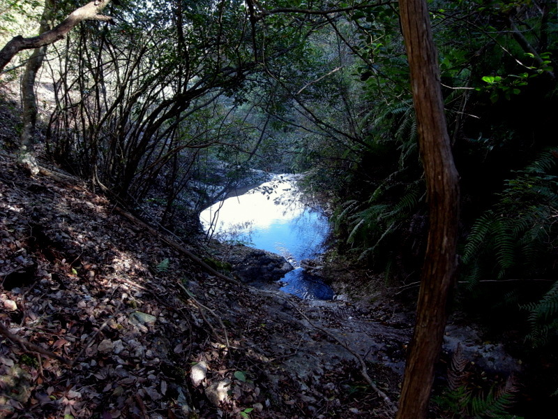 f0325295_14245964.jpg