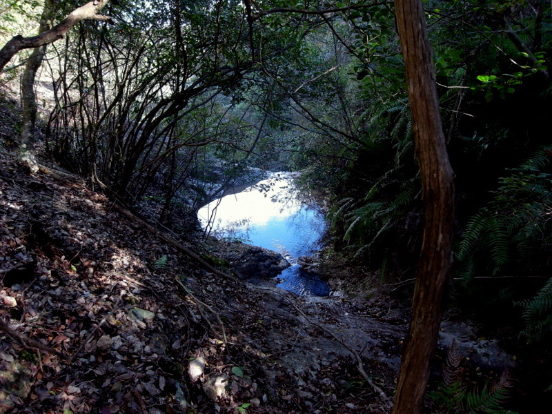 観音寺山のあの岩に行きたい！の巻_f0325295_14245964.jpg