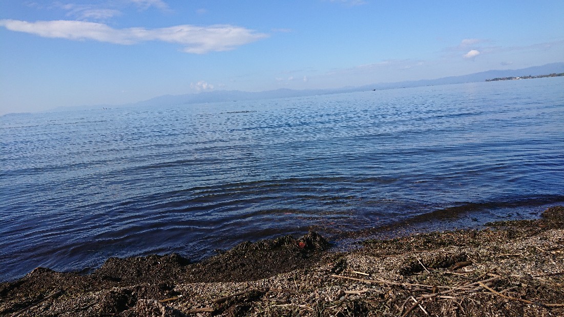 f0337700_19575686.jpg