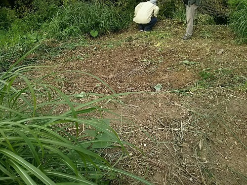 c0182302_20465598.jpg