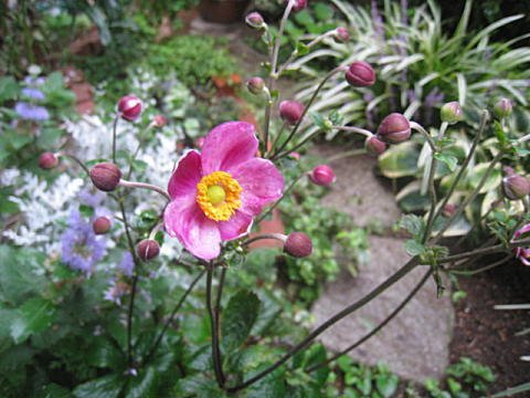 d0046702_16031090.jpg