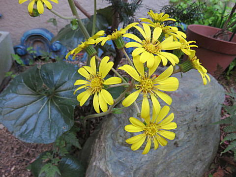 d0046702_16055688.jpg