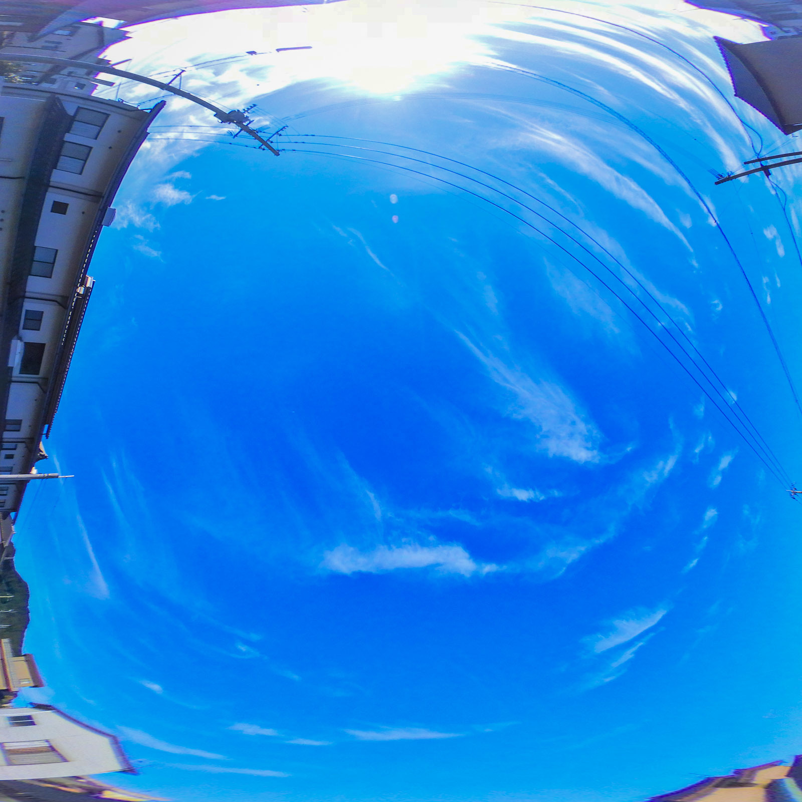 f0083903_11020878.jpg