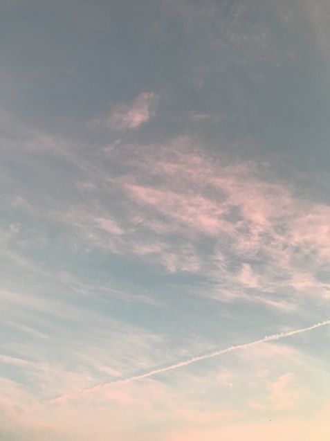 f0250403_19002027.jpg