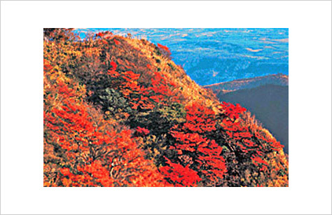 長崎もそろそろ紅葉 明日の土曜日のお出かけにいかが 長崎大学病院 医療教育開発センター 医師育成キャリア支援室