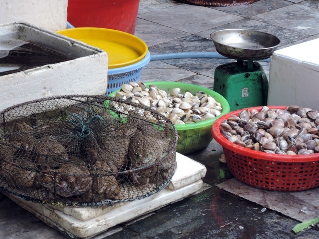f0373905_10373254.jpg