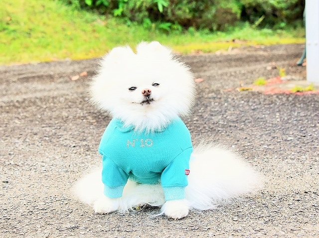 もうそろそろ?_d0360206_02025545.jpg