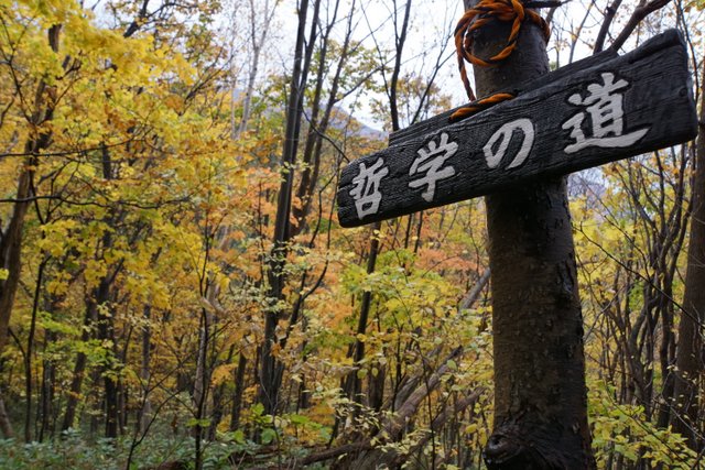 018年10月28日(日) 三角山(標高311m)_a0345007_11303872.jpg