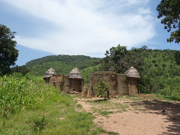 d0360509_17575943.jpg