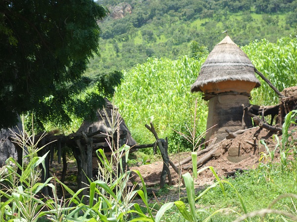 d0360509_18122454.jpg