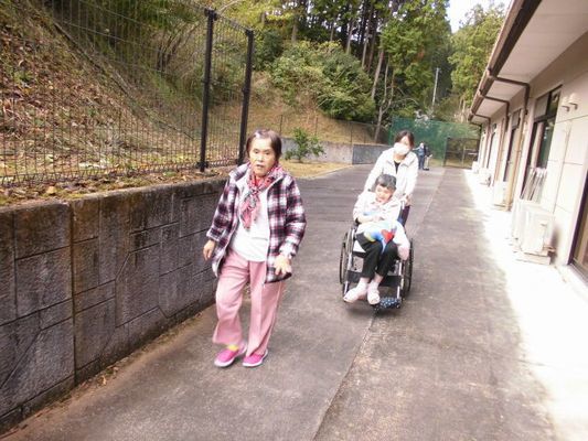 11/1 朝の散歩_a0154110_11464494.jpg