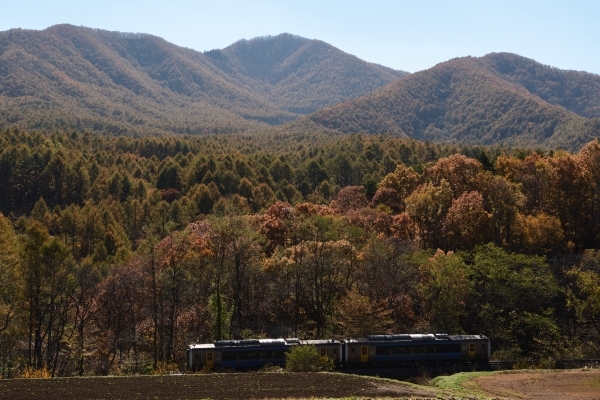 e0005714_00104737.jpg