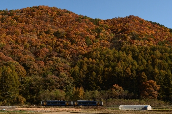 e0005714_00110943.jpg