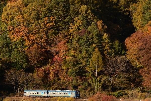 e0005714_00111981.jpg