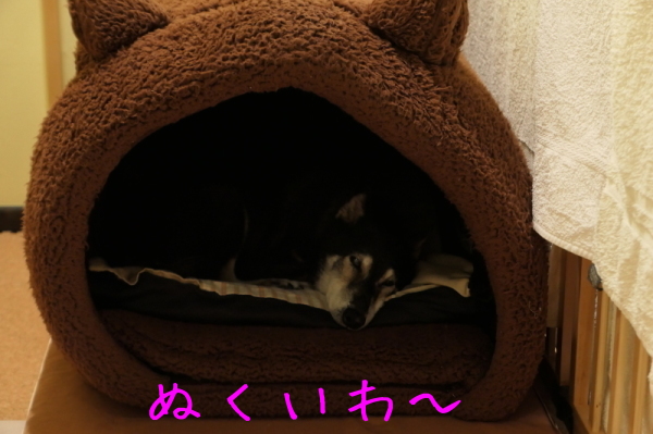 f0369014_18063317.jpg