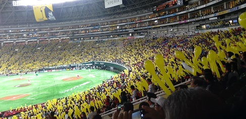 f0371014_06131172.jpg